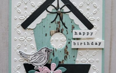 Country Birdhouse & Hooray It’s Your Day Birthday Cards Variety Pack