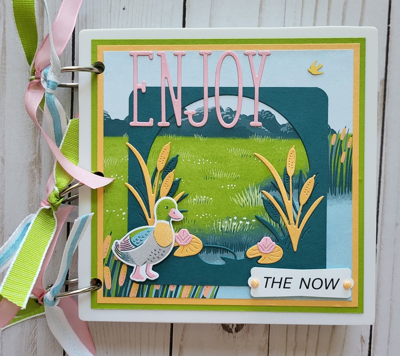 Ducks, white acrylic album 6x6, animals, pond, dragonflies, enjoy, scrapbooking, pink, green, yellow, blue