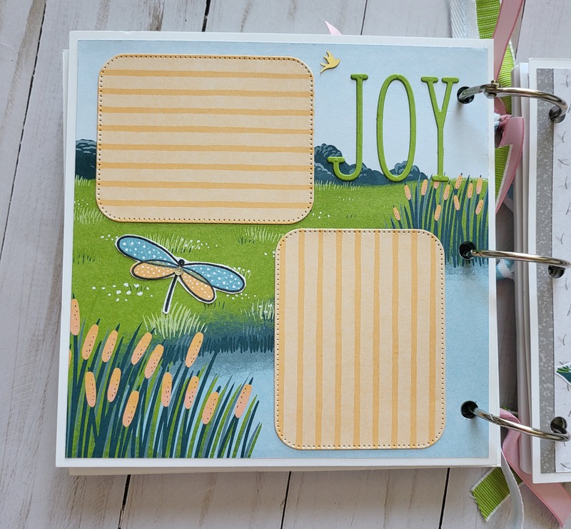 Ducks, white acrylic album 6x6, animals, pond, dragonflies, enjoy, scrapbooking, pink, green, yellow, blue