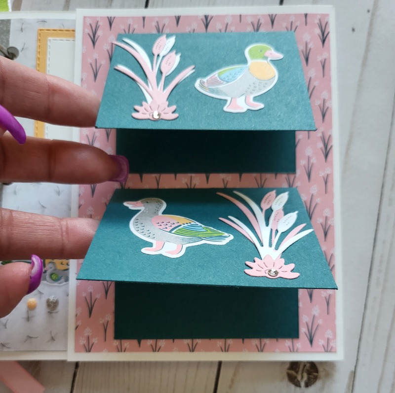 Ducks, white acrylic album 6x6, animals, pond, dragonflies, enjoy, scrapbooking, pink, green, yellow, blue