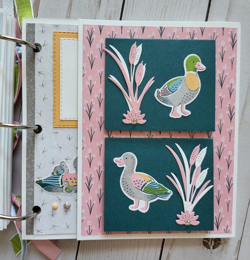 Ducks, white acrylic album 6x6, animals, pond, dragonflies, enjoy, scrapbooking, pink, green, yellow, blue