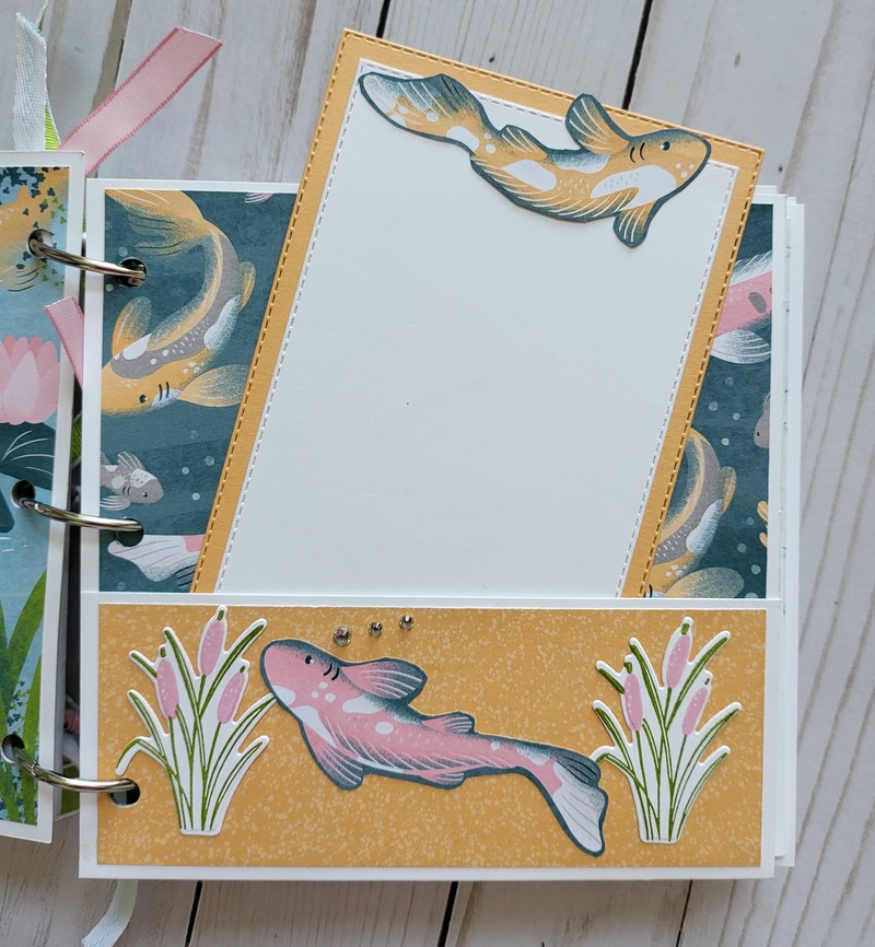 Ducks, white acrylic album 6x6, animals, pond, dragonflies, enjoy, scrapbooking, pink, green, yellow, blue
