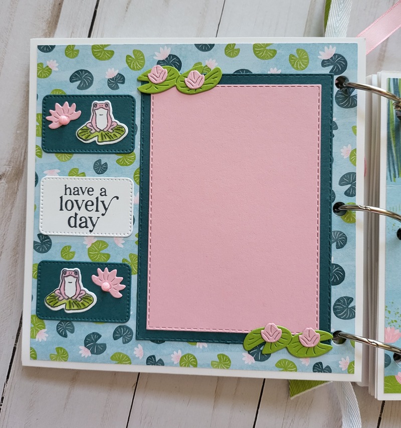 Ducks, white acrylic album 6x6, animals, pond, dragonflies, enjoy, scrapbooking, pink, green, yellow, blue