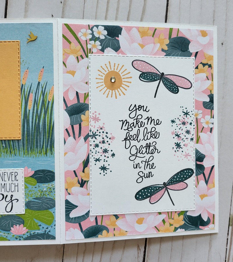 Ducks, white acrylic album 6x6, animals, pond, dragonflies, enjoy, scrapbooking, pink, green, yellow, blue