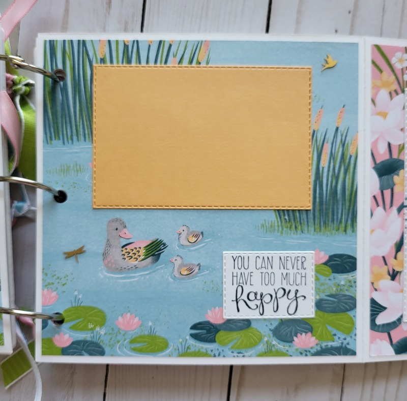 Ducks, white acrylic album 6x6, animals, pond, dragonflies, enjoy, scrapbooking, pink, green, yellow, blue