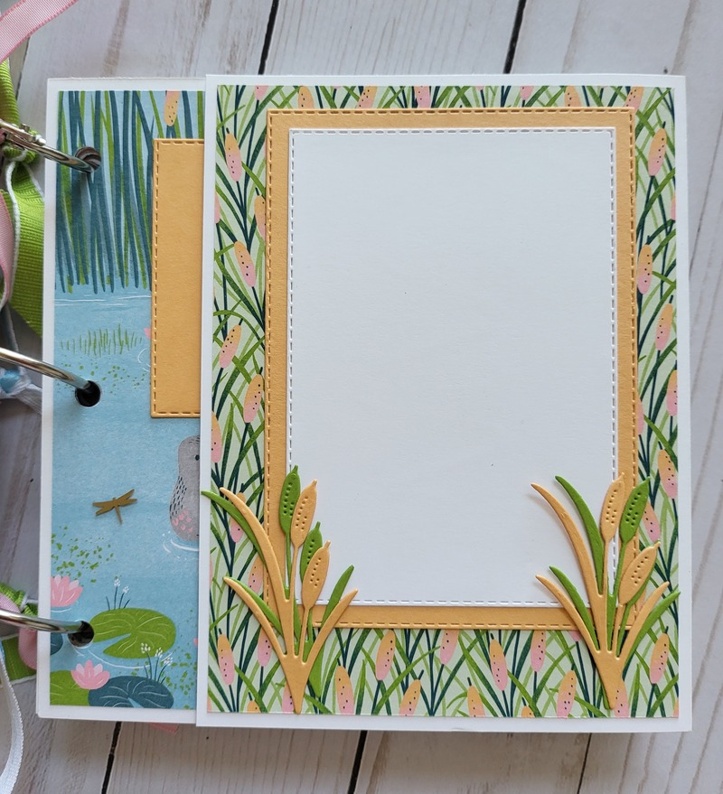Ducks, white acrylic album 6x6, animals, pond, dragonflies, enjoy, scrapbooking, pink, green, yellow, blue