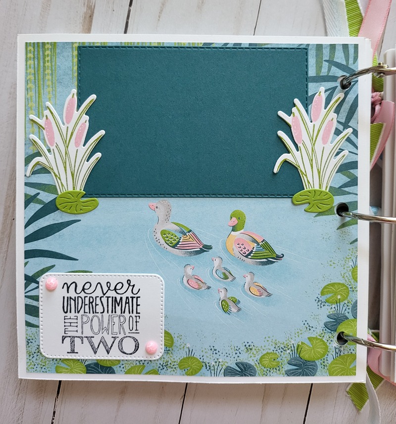 Ducks, white acrylic album 6x6, animals, pond, dragonflies, enjoy, scrapbooking, pink, green, yellow, blue