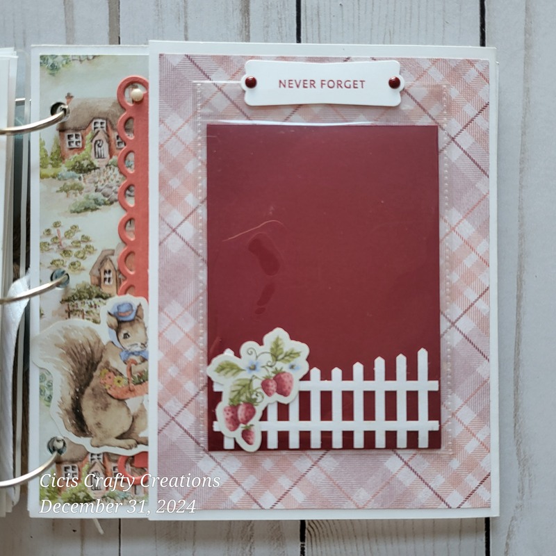Storybook, nursery, baby, ducks, rabbits, squirrels, garden, pastel colors, frames, scrapbooking, acrylic albums, happy