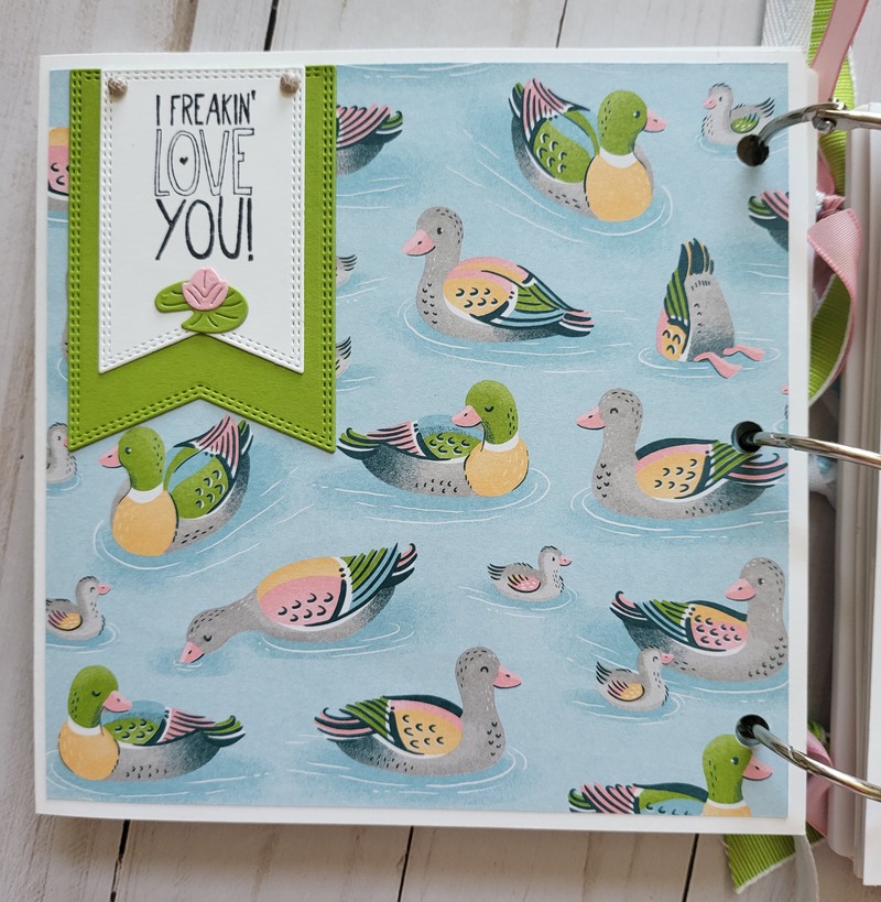 Ducks, white acrylic album 6x6, animals, pond, dragonflies, enjoy, scrapbooking, pink, green, yellow, blue