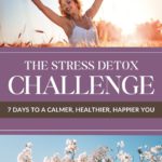 The Stress Detox Challenge 7 Days to a Calmer, Healthier, Happier You