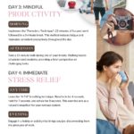 The Stress Detox Challenge 7 Days to a Calmer, Healthier, Happier You